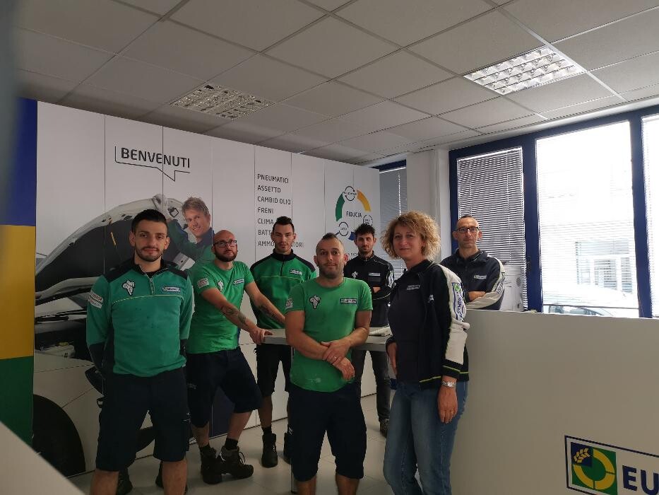 Images Euromaster Elvis Gomme