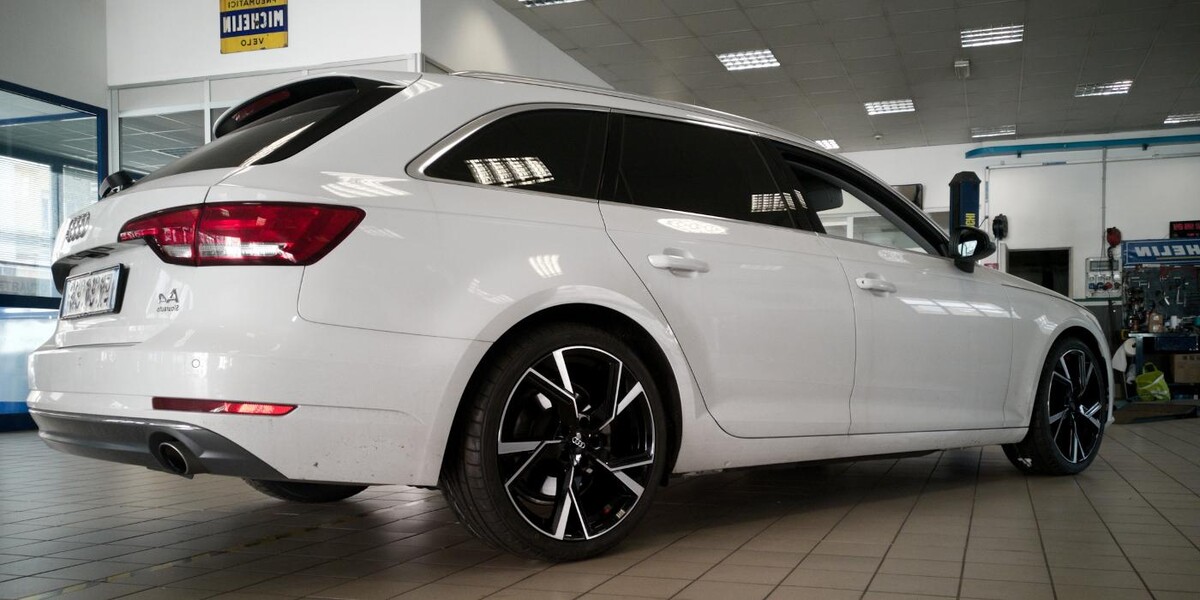 Images Euromaster Elvis Gomme