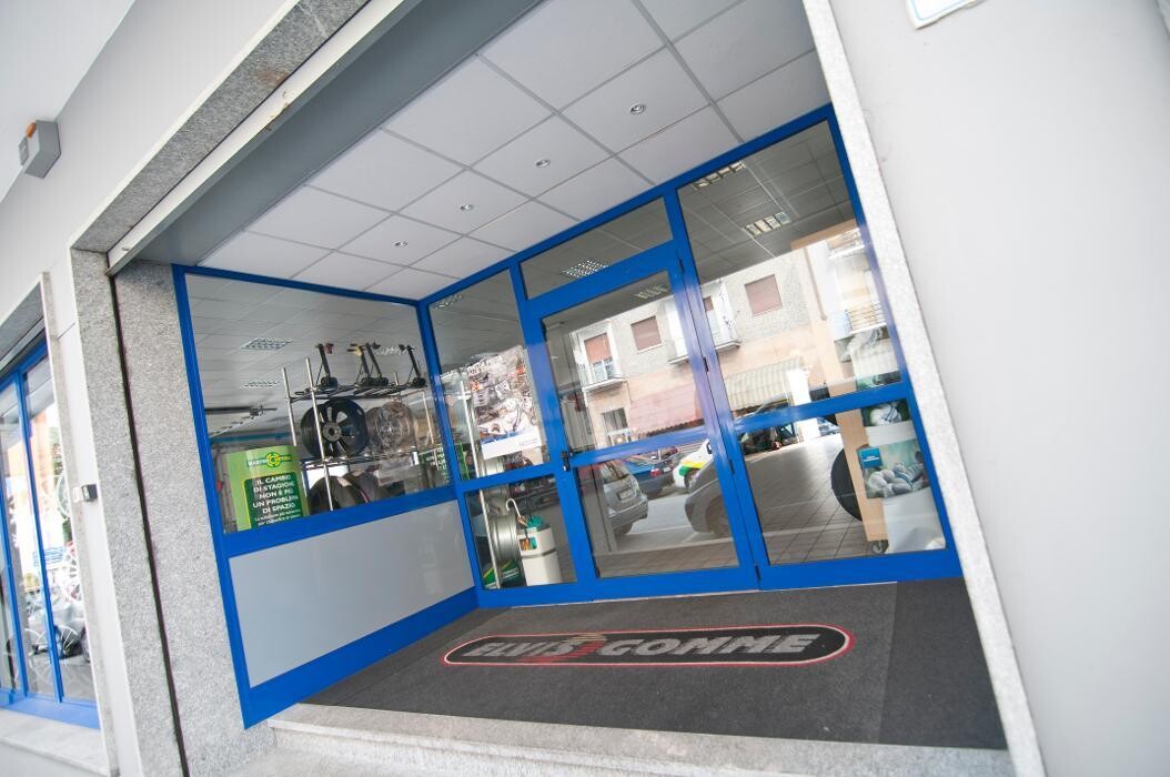 Images Euromaster Elvis Gomme