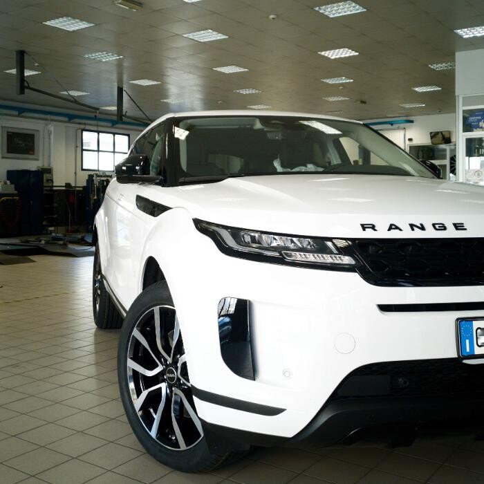 Images Euromaster Elvis Gomme