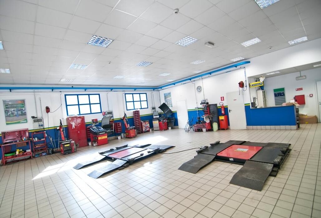 Images Euromaster Elvis Gomme