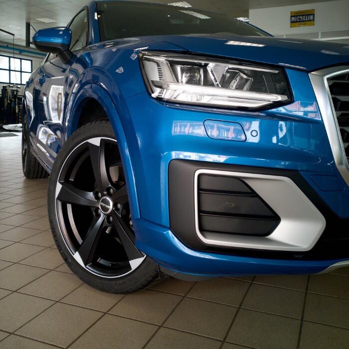 Images Euromaster Elvis Gomme