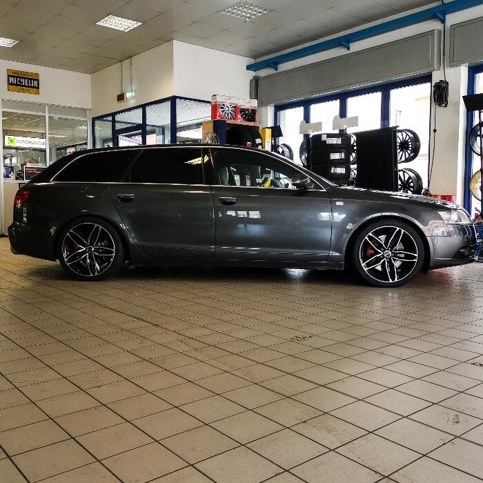 Images Euromaster Elvis Gomme