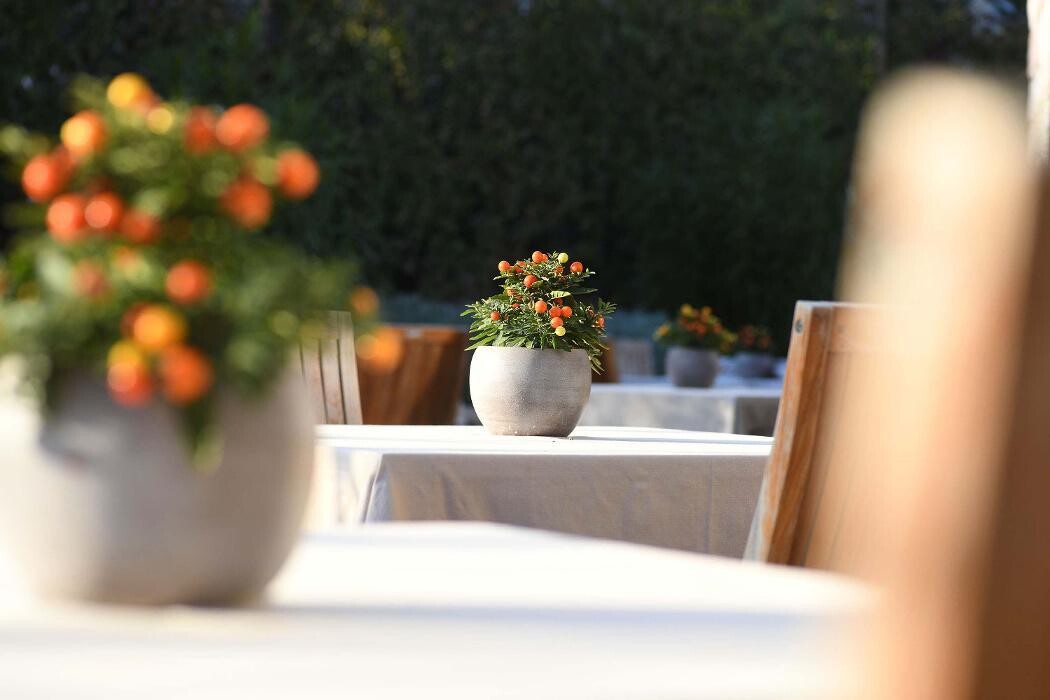 Images Hotel Ansitz Plantiz