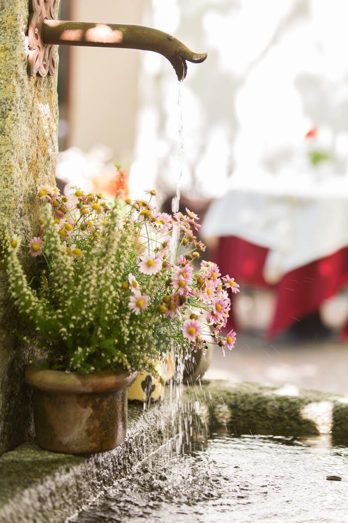 Images Hotel Ansitz Plantiz