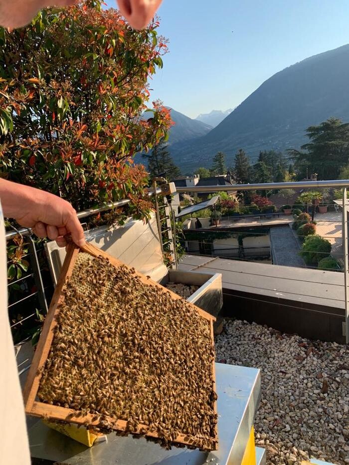 Images Hotel Ansitz Plantiz