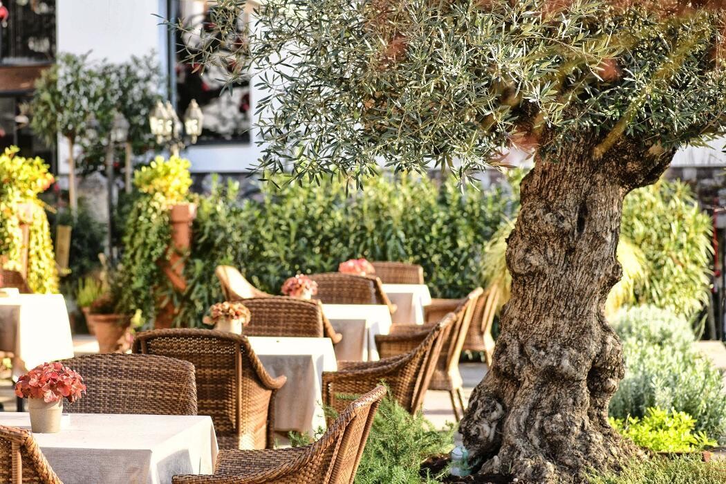 Images Hotel Ansitz Plantiz