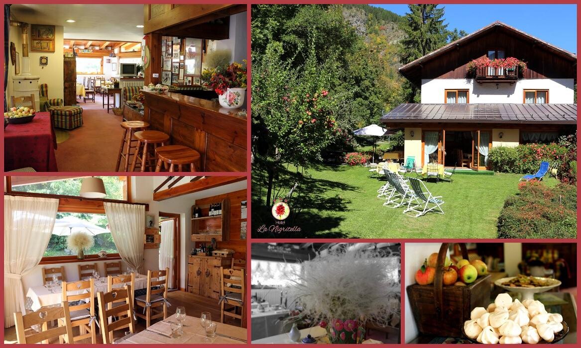 Images BB LA NIGRITELLA