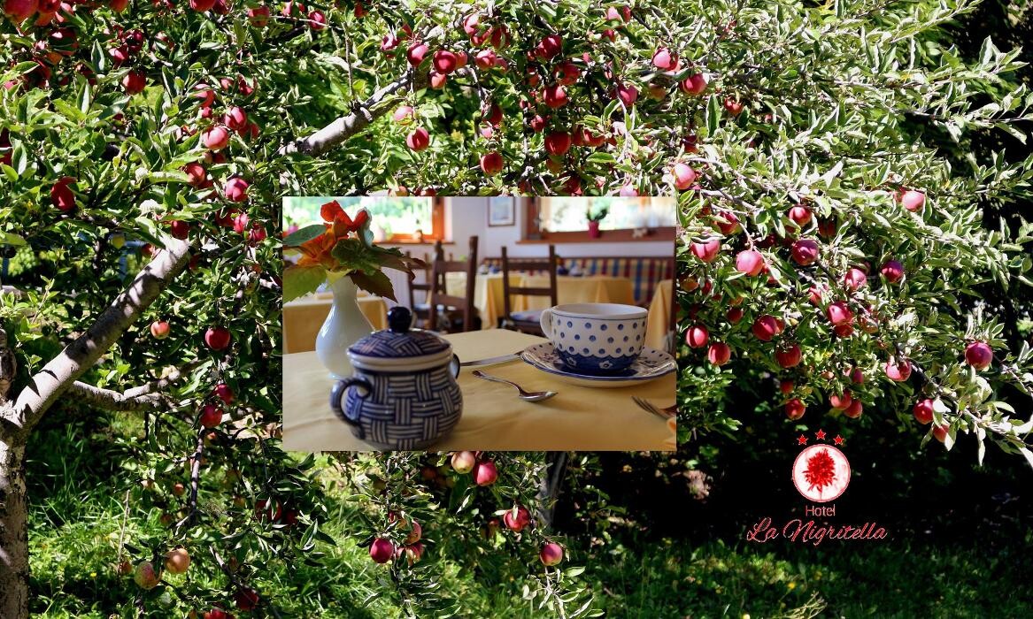 Images BB LA NIGRITELLA