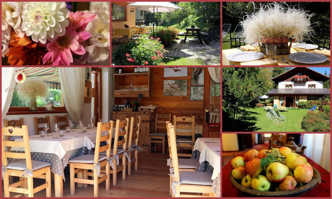 Images BB LA NIGRITELLA