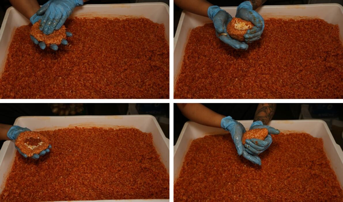 Images Panificio Villa Tedeschi