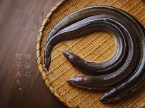 Website Screenshot 穴子や 神谷町