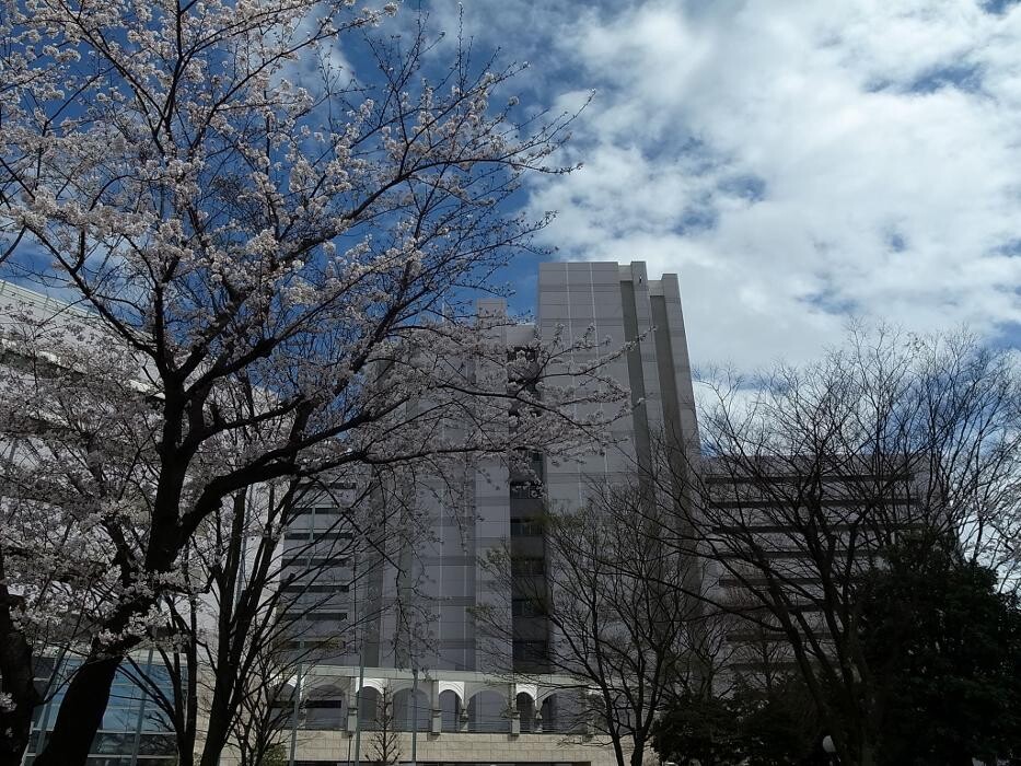 Images Evonik Japan