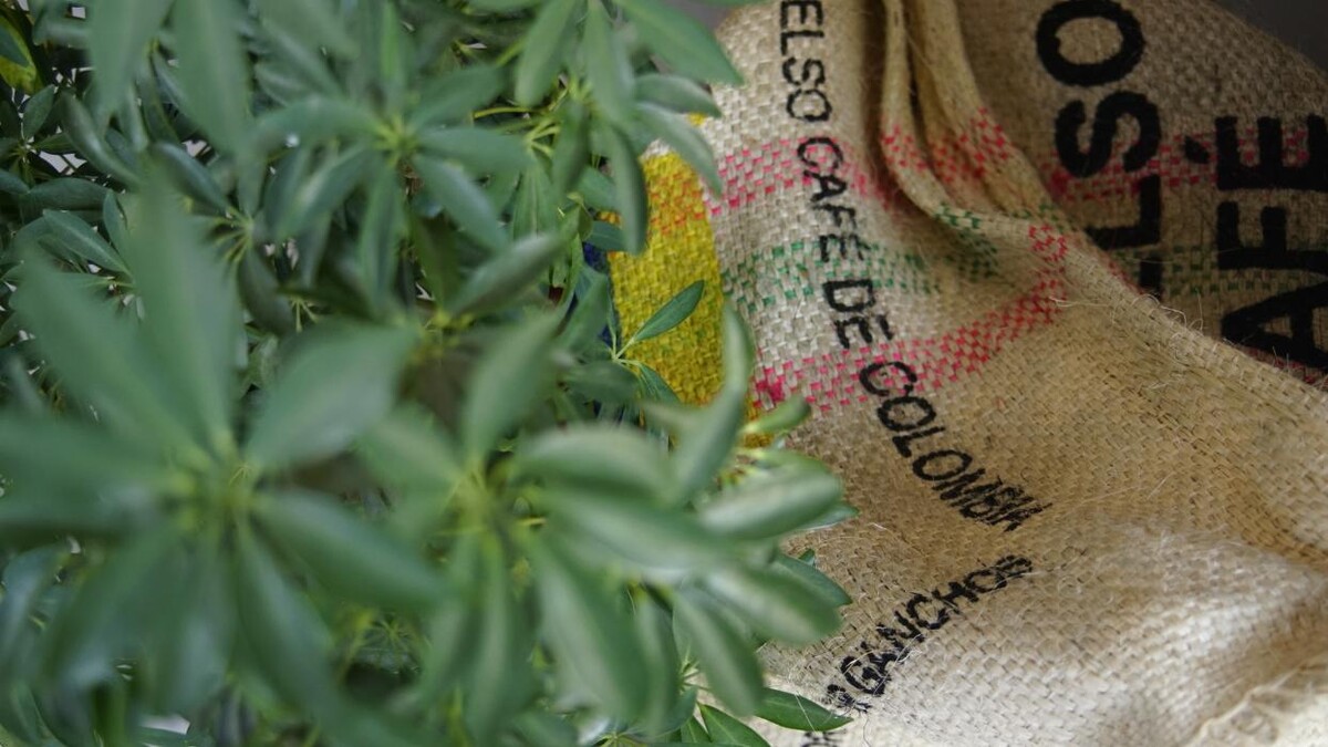 Images Navy coffee roaster