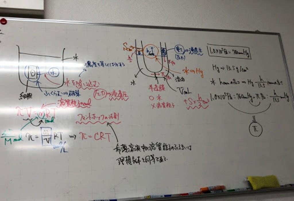 Images 大学受験kawaiラボ 羽衣校