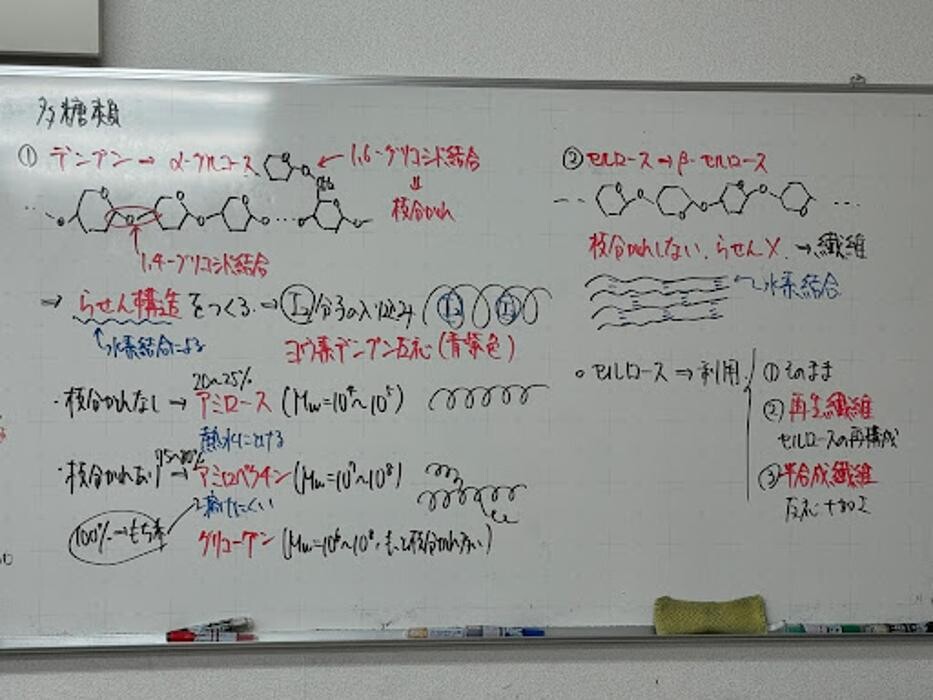 Images 大学受験kawaiラボ 羽衣校