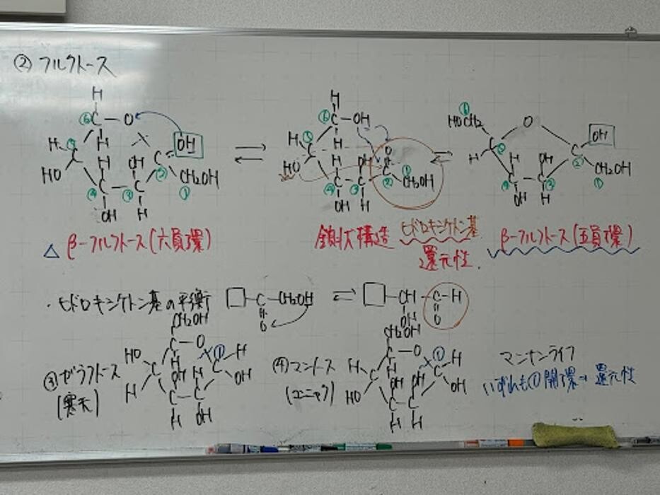 Images 大学受験kawaiラボ 羽衣校