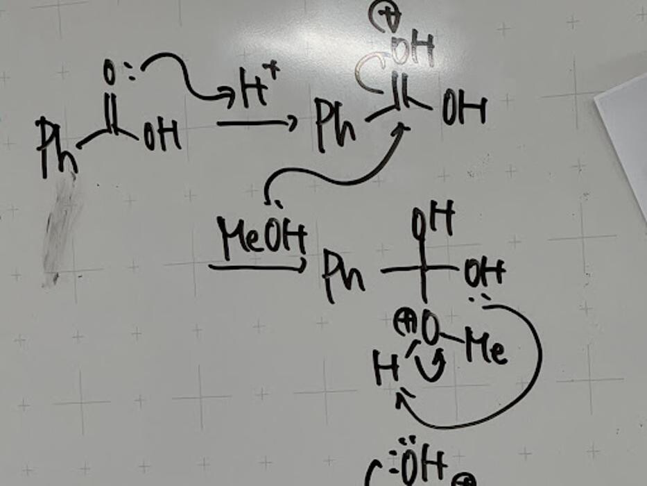 Images 大学受験kawaiラボ 羽衣校