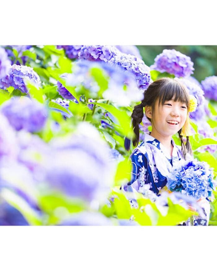 Images フォトスタジオbridge