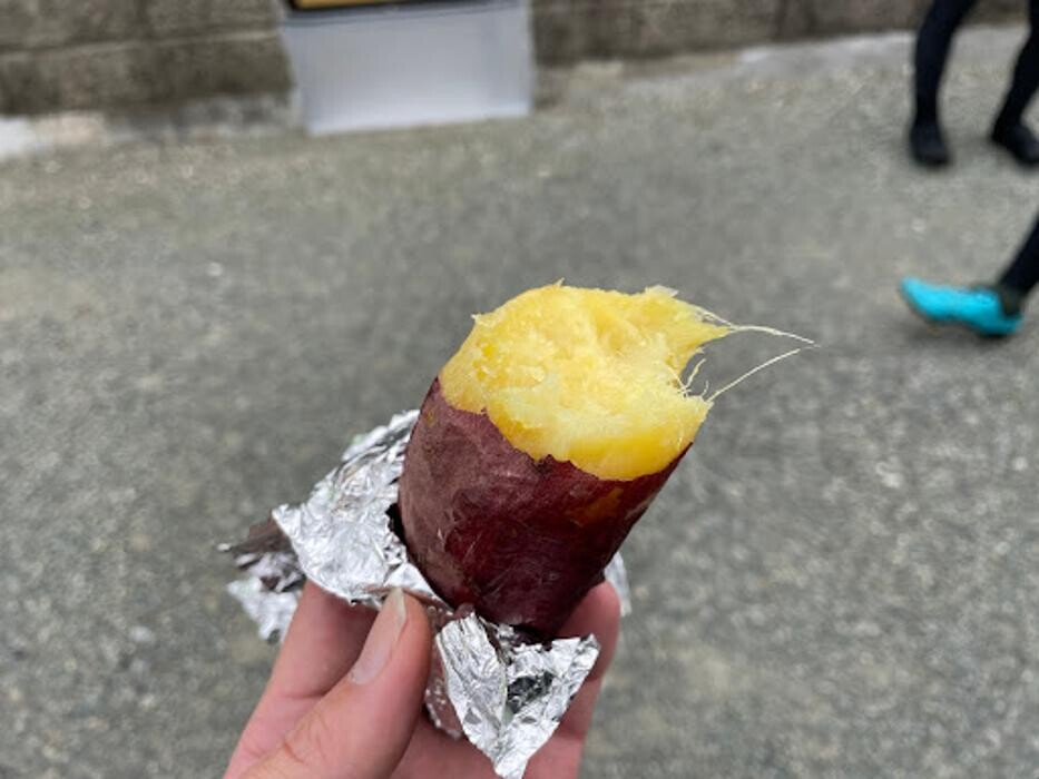 Images スターバイクス