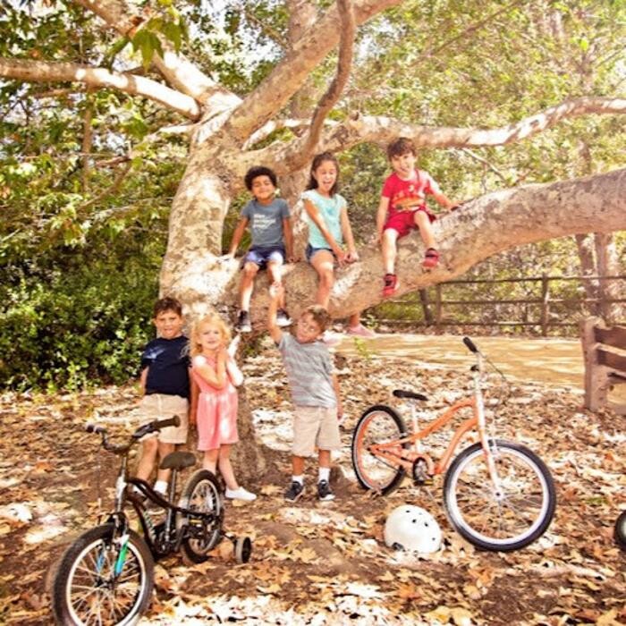 Images スターバイクス