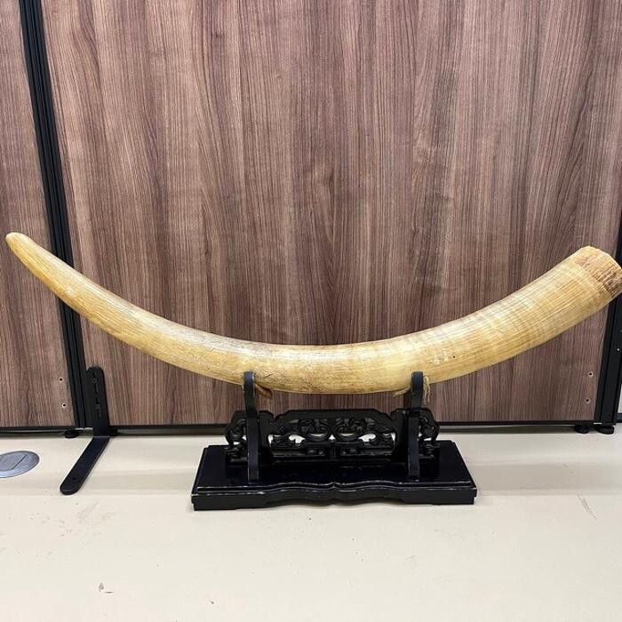 Images 骨董品買取こたろう仙台店