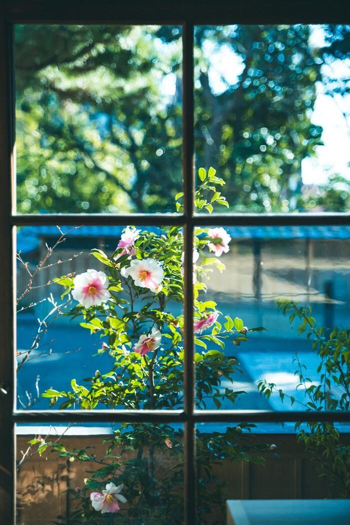 Images 高宮庭園茶寮