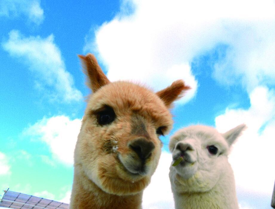 Images ホテルエピナール那須