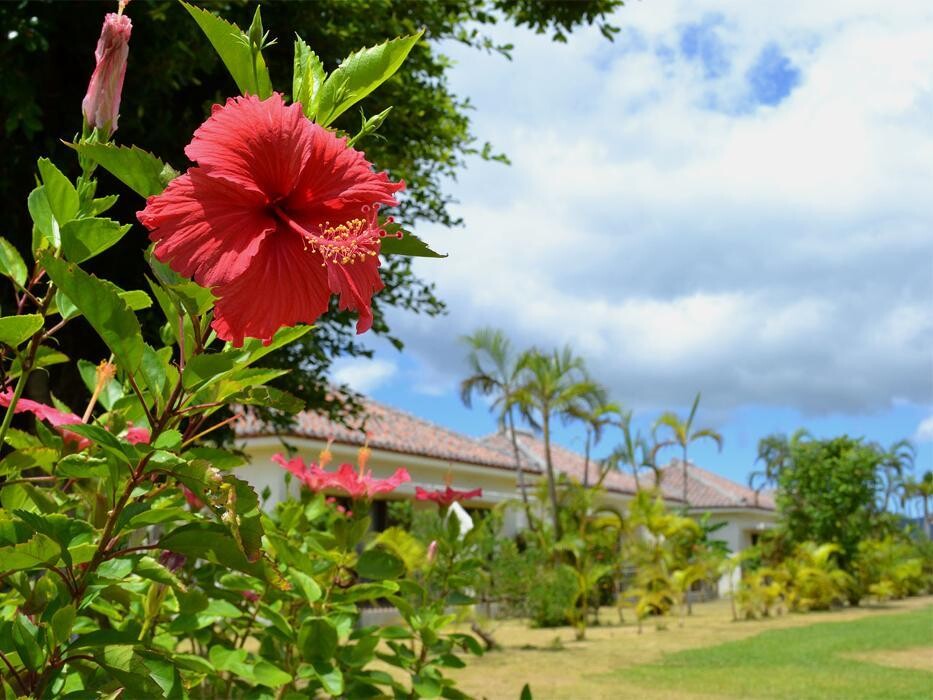 Images フサキビーチリゾート ホテル＆ヴィラズ