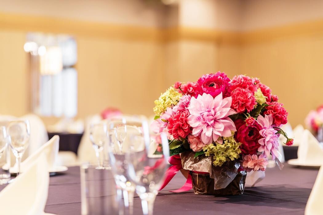 Images ホテルマイステイズ松山