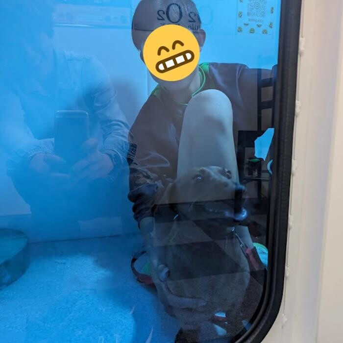 Images gorillaz O2 Box