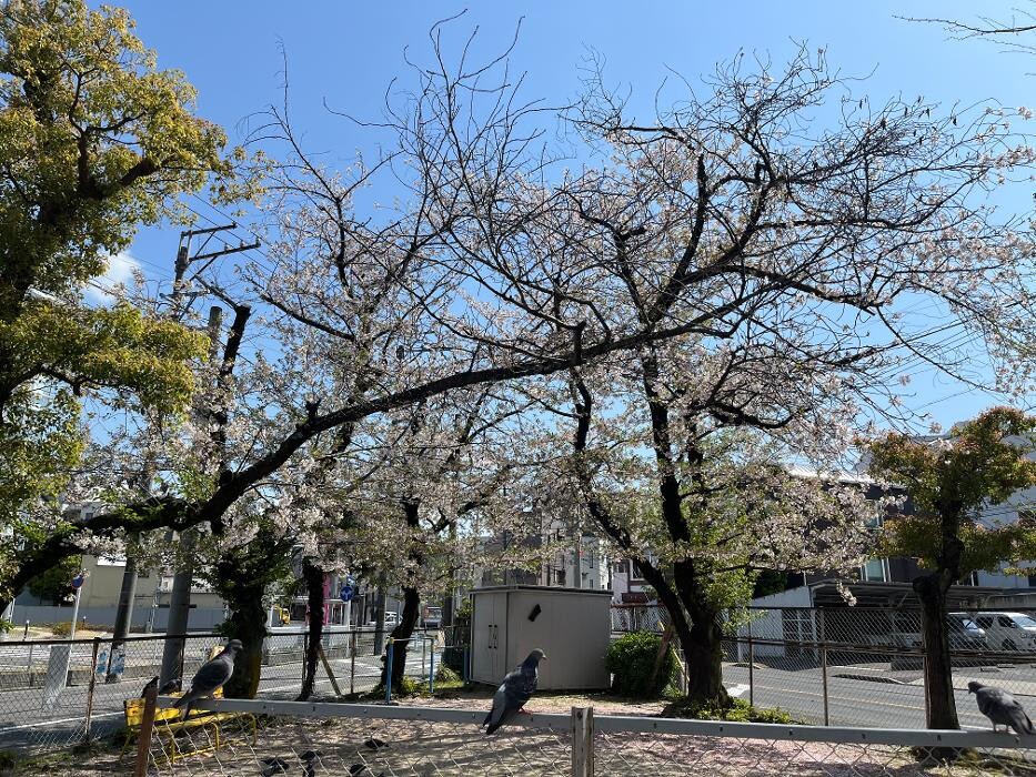 Images 医療法人 吉田病院