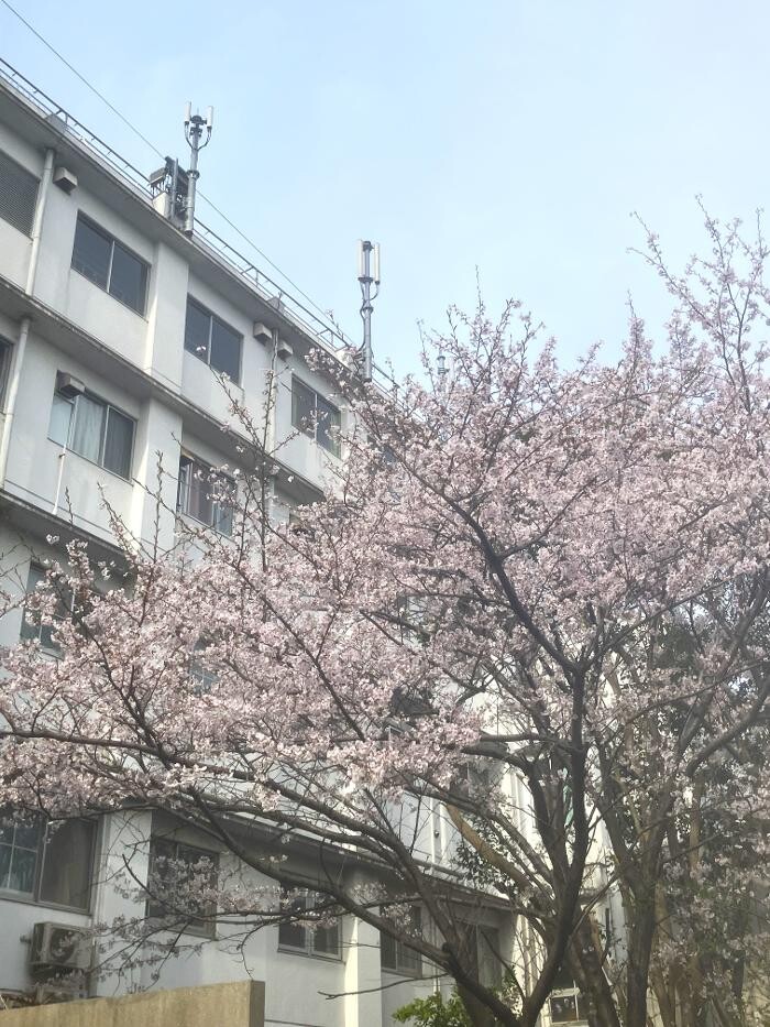 Images 医療法人浩生会 舞子台病院