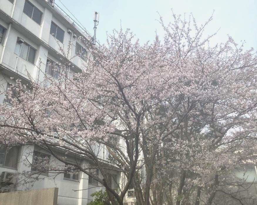 Images 医療法人浩生会 舞子台病院