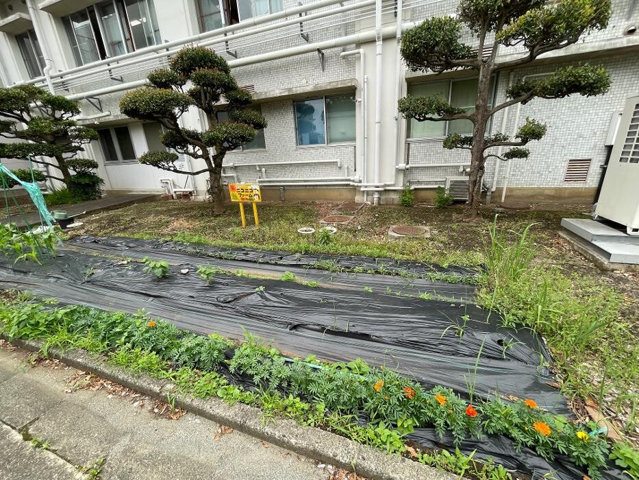 Images 医療法人ユーカリ さがみ林間病院