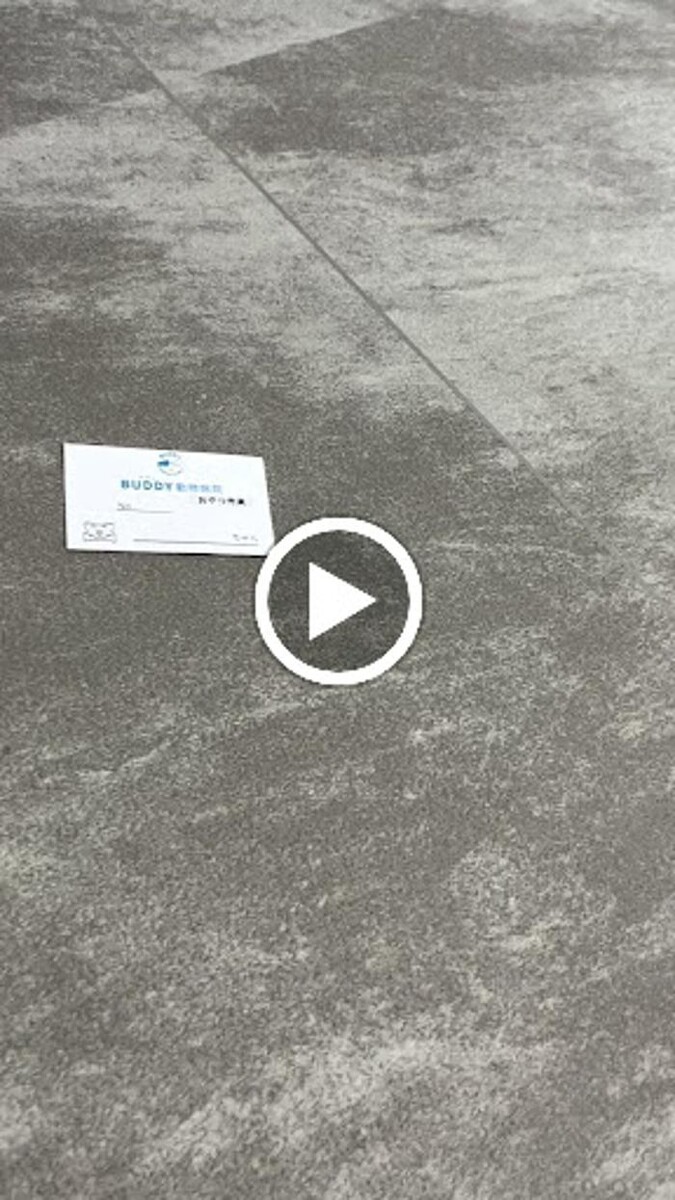 Images BUDDY動物病院