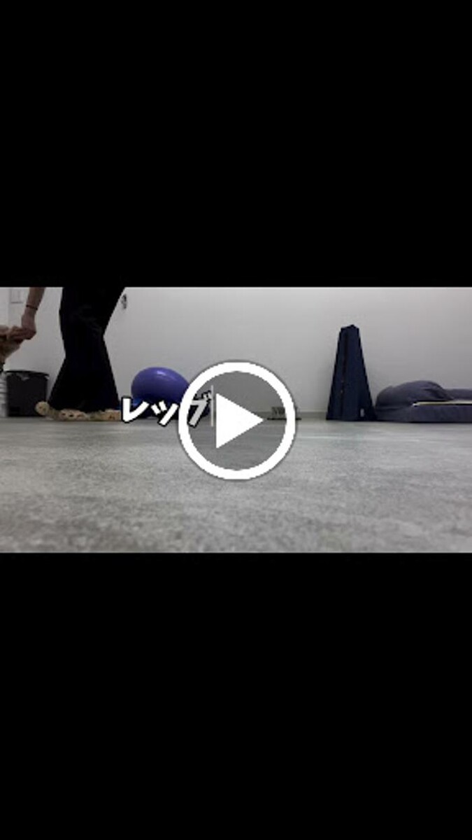 Images BUDDY動物病院