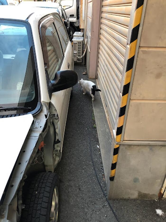Images 板金塗装専門店株式会社フルテック