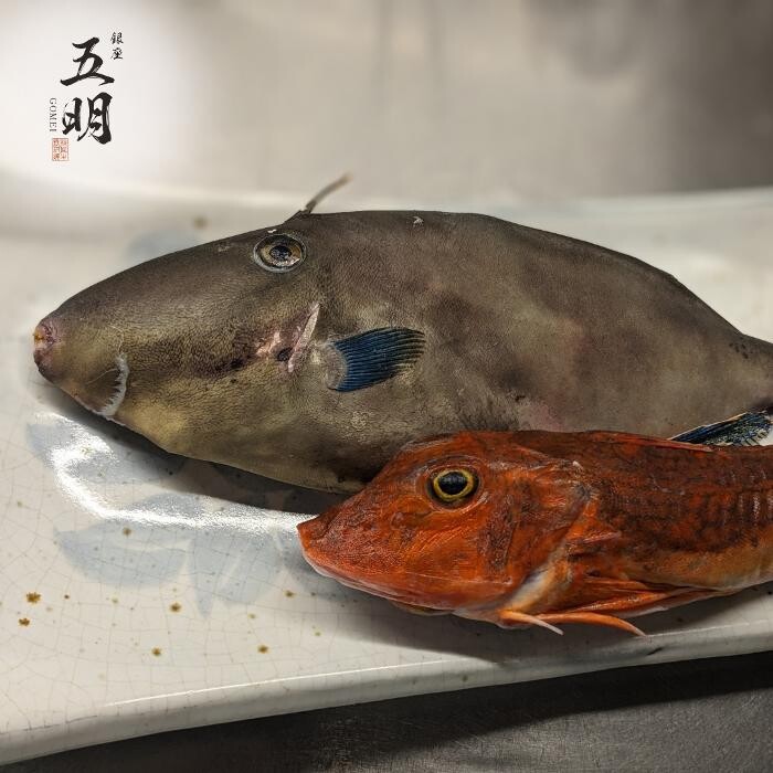 Images 秋田牛鉄板焼き 銀座 五明