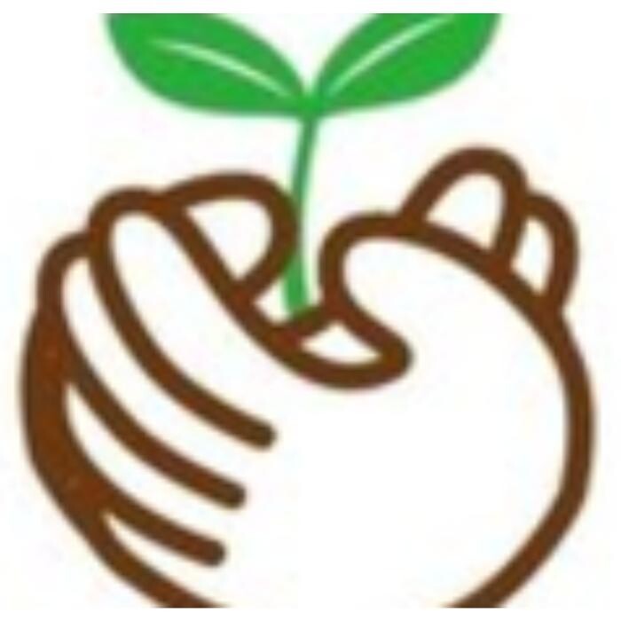 Images Green Leaf 整体院