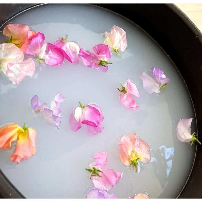 Images Rekoko 【リココ】