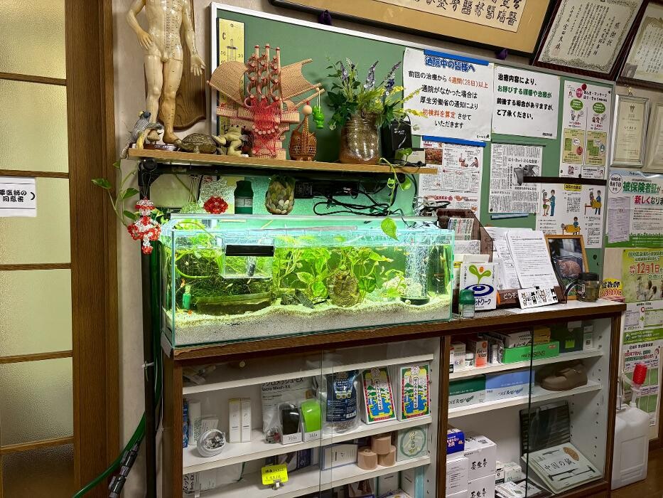 Images 丸尾鍼灸院