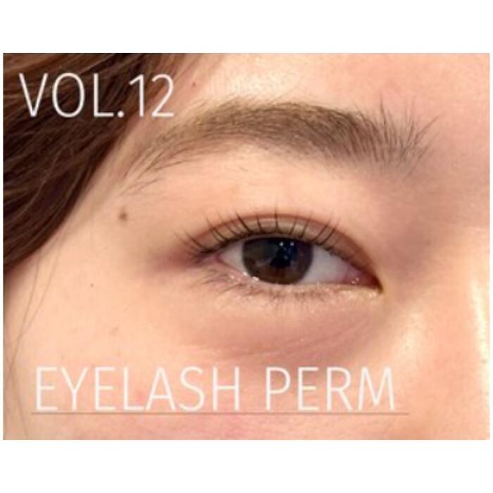 Images eyelash & eyebrow Tommy 【トミー】