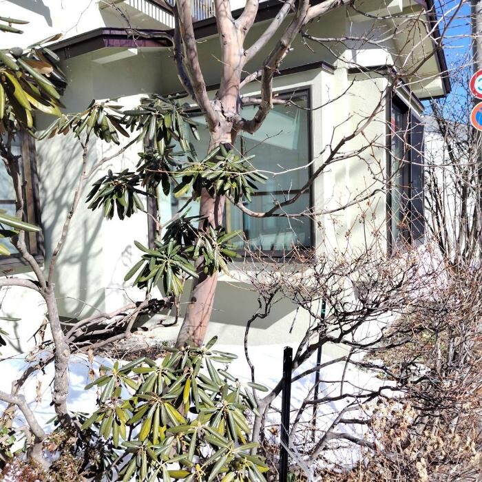 Images 米山館鬼無里屋Yoneyamakan-Kinasaya