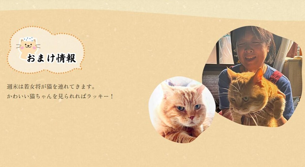 Images 米山館鬼無里屋Yoneyamakan-Kinasaya