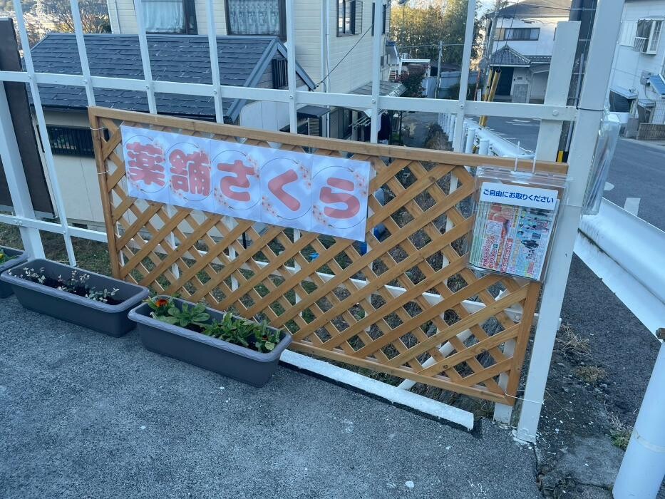 Images 薬舗さくら