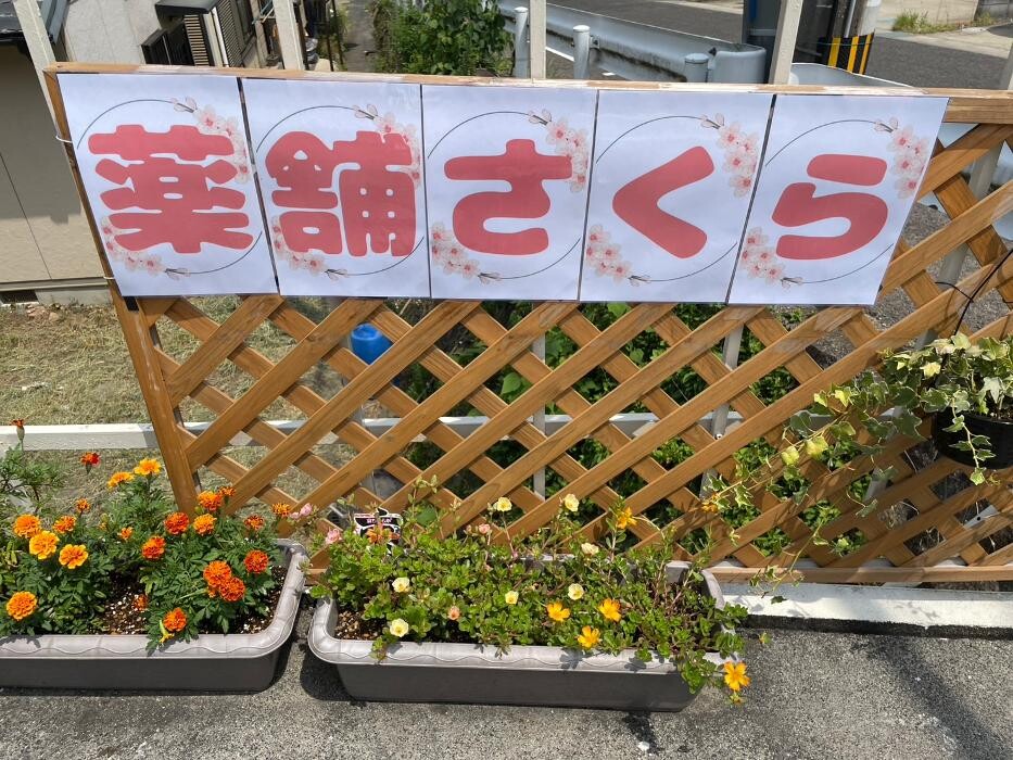 Images 薬舗さくら