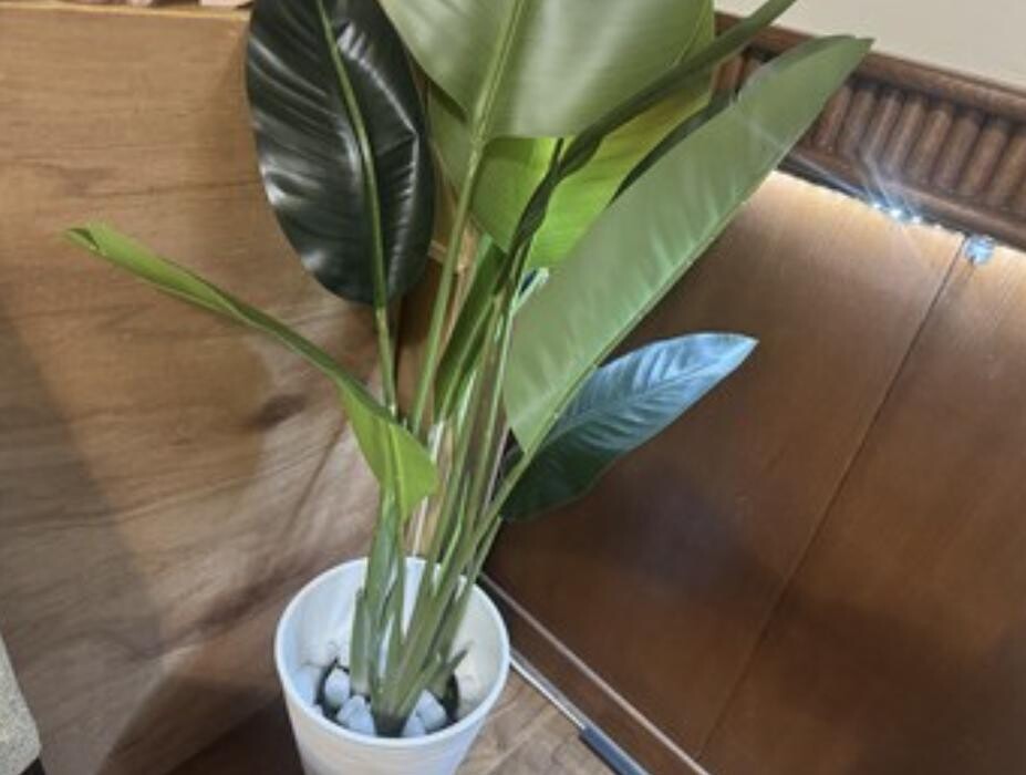 Images 道後リラクゼーションエステサロンRin