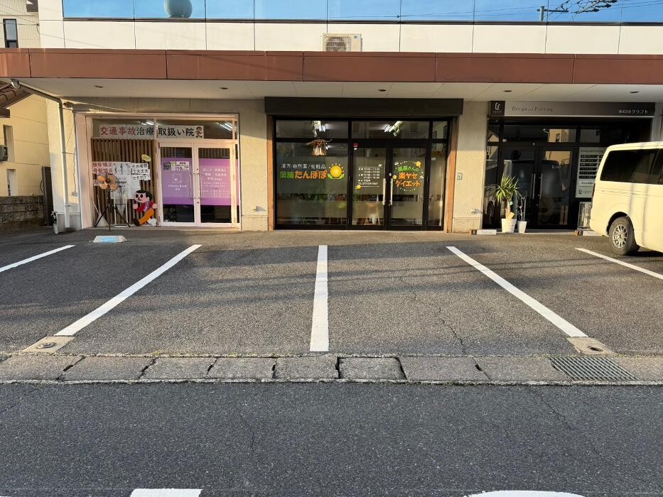 Images 薬舗たんぽぽ