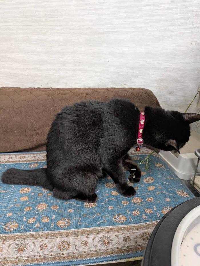 Images ヘアーサロンヒデ